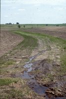 Conservation progress on Jim Fassler's farm.