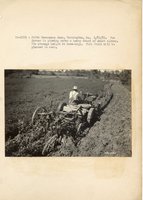 1934 - 1938 Multi-State Photograph Collection  