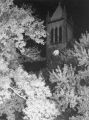 Campanile, 1954