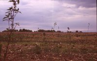 Grounds at the Methodist Church Camp. 
