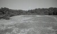 Grassy fields near trees<br /><br />
