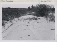 Wind erosion in South Fork Township; Delaware County, Iowa.