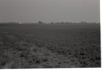 Views of Pasture and Grasslands