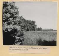 Windbreak on the Minnesota-Iowa border line, near the entrance to the Minnewaukon State Park.