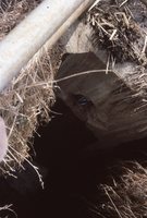 Damaged drop inlet.