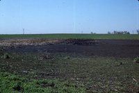 Sediment basin in a farm field.