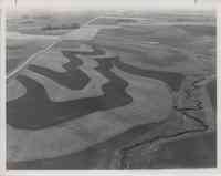 Contoured farmland belonging to Charles Reich in Portland Township 24