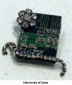 Feminine Touch Web-rhinestone