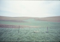 Farmland with fence, 1988 