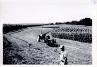 Strip cropping on Eldon Wohler's farm, 1961 