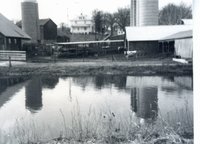 John Jepsen feedlot pollution control
