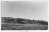 Folded beds of limestone, Buffalo Gap, S.D., late 1890s or early 1900s
