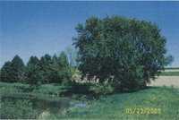 Ryan Henscal site H-1, 2005.