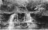 Gorge at Pinney's Spring, Iowa, late 1890s or early 1900s
