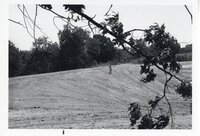1977  Area before Robert Lane's Pond was built
