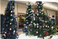 Christmas Tree displays