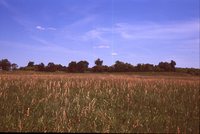Larry Braby's Farm Before and After a Wetland Construction Project.