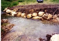 Steve Rolings's water quality project, 1990s