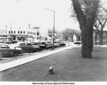 Iowa Avenue businesses, Iowa City, Iowa, between 1950 and 1955