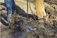 1999 Robert Yaeger Flint Creek Stream bank restoration