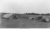 Five Sisters boulders, Winthrop, Iowa, late 1890s or early 1900s