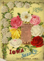 Iowa Seed Company Catalog 1895
