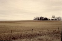 Farmland after harvest