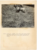 1937 - Back view of Iowa contour furrowing machine