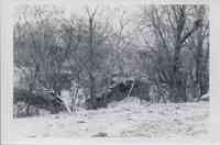 Four unidentified snowy landscapes in Plymouth County, Iowa<br />
<br />
