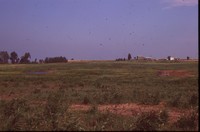 Restoration Project on Smokey Stover's Farm.