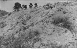 Folded beds of gypsum, Cascade, S.D., late 1890s or early 1800s