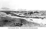 Petrified forest, south of Adamano, Ariz., late 1890s or early 1900s
