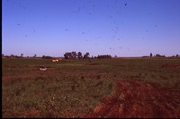 Restoration Project on Smokey Stover's Farm.