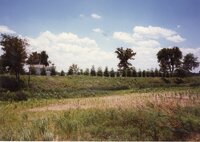 1996 Windbreaks on Debbie Burr farm
