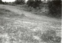 1995 Proposed Terracing Project site on Dale Edmonds' farm
