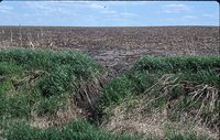 Larry Braby's Farm Before and After a Wetland Construction Project.