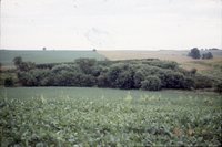 Doug Linman wildlife habitat