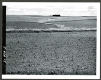 Erwin W. Cole Farm