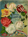Iowa Seed Company Catalog 1904