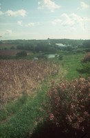 Forty ways of conservation in your community.