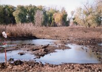 2002  Wetland Construction at Brockway LLLP