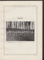 1920 yearbook