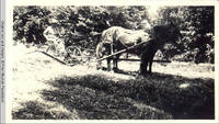 John Heitzman on haycutter with horses