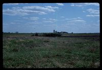 Wetland Area on Henry Hanby's Farm.
