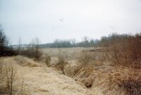Carl Miller Property before wetlands restoration