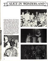 1982 Yearbook
