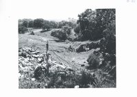 J.G. Thorne farm gully, 1965
