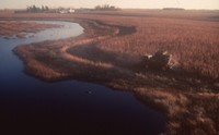 Forty ways of conservation in your community.