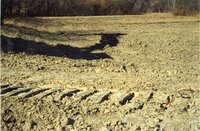 1999 Shallow water wetland established on Robert Yaeger farm
