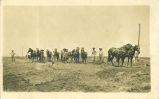 Men with horse teams plowing, Iowa Falls, June, 29, 1910